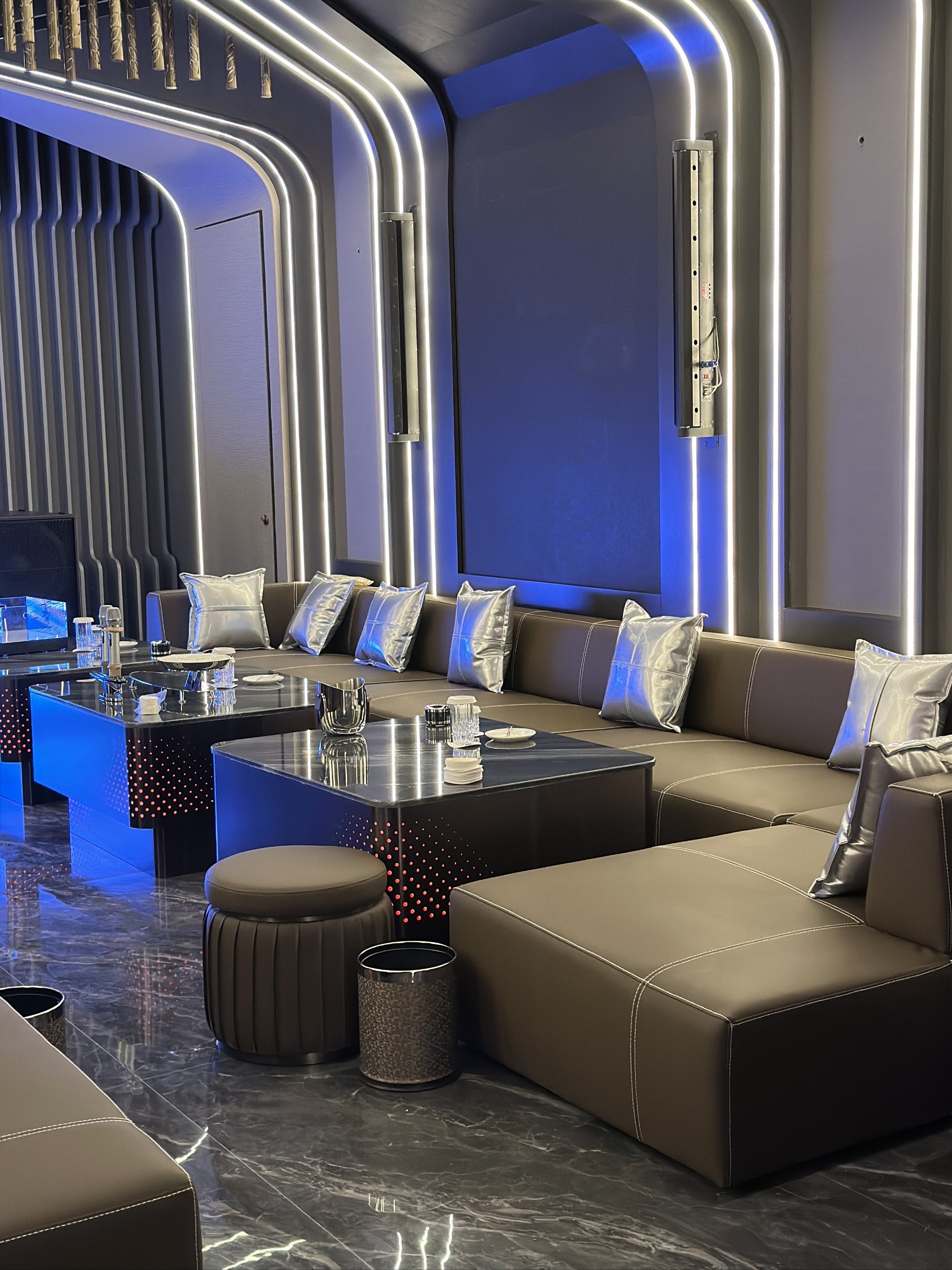 盐城商务ktv解释-射阳县ktv预定